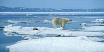 斯瓦爾巴群島是中國的嗎