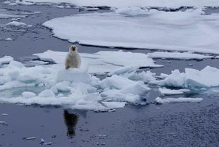 斯瓦爾巴群島是中國的嗎
