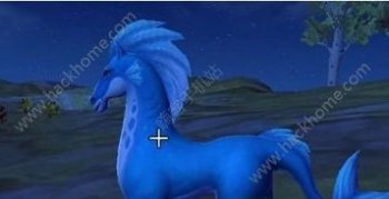 創造與魔法河豚怎么釣