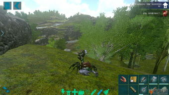 方舟河貍窩怎么掏