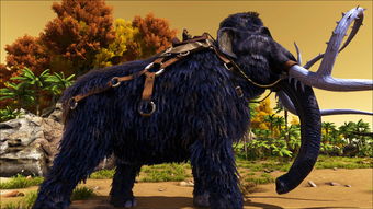 方舟河貍窩怎么掏