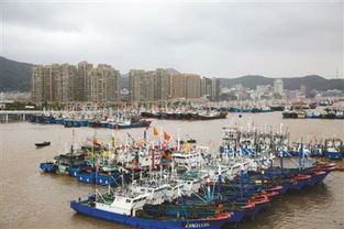 海馬臺風為什么被除名