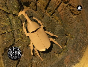 獨(dú)角仙是害蟲(chóng)嗎