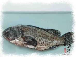 紅石斑魚有毒嗎