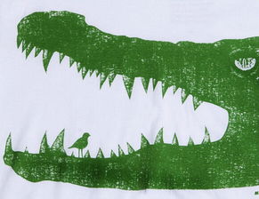 給鱷魚剔牙的鳥是什么