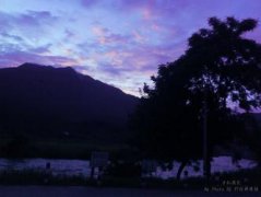 布谷鳥早上叫是啥意思