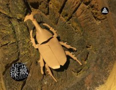 獨角仙是害蟲嗎