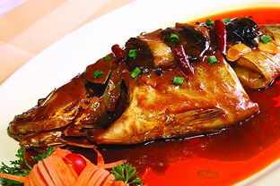 鮭魚(yú)和桂魚(yú)一樣嗎