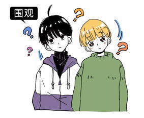 撒貝寧殺了多少烏雞