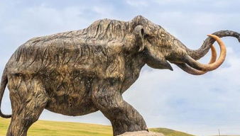 克隆猛犸象成功了嗎