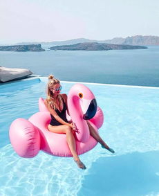 火烈鳥寓意什么