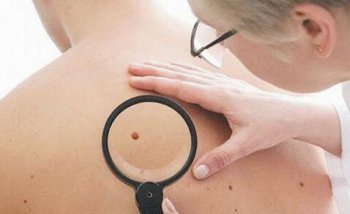 蜱蟲出現什么季節