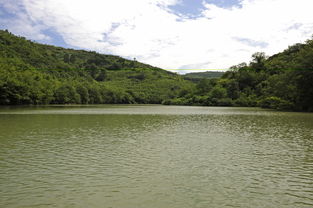 鯨魚溝風景區怎么走