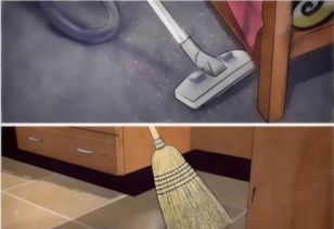 如何徹底消滅家中蜱蟲