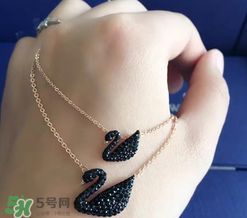 怎么區分黑天鵝真假