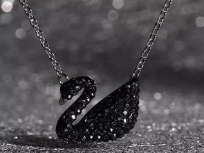 怎么區分黑天鵝真假