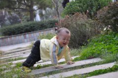 怎樣殺死廁所紅線蟲