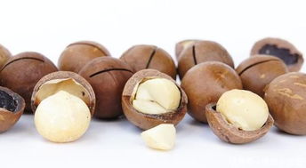 一天吃幾顆夏威夷果