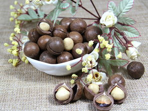 一天吃幾顆夏威夷果