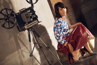 朱丹是金華哪里人