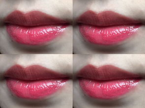 楊樹林和圣羅蘭有區別嗎