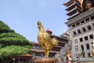 玉林云天宮投資人是誰