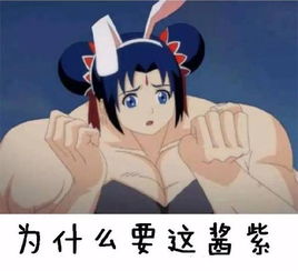 兩只荷蘭豬會打架嗎