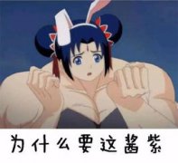 兩只荷蘭豬會打架嗎