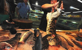 眼鏡王蛇是幾級保護(hù)動物