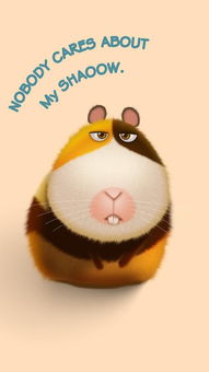 荷蘭豬吃玉米嗎