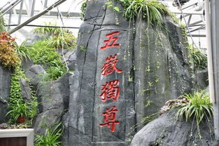 康寧湖生態(tài)園在哪