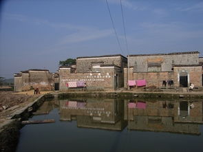 金溪竹橋古村在哪里