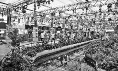 康寧湖生態(tài)園在哪