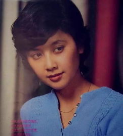 何晴在紅樓夢中扮演誰