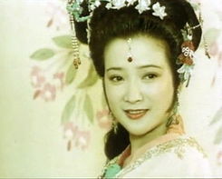 何晴在紅樓夢中扮演誰