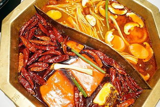 陳赫開的火鍋店叫什么