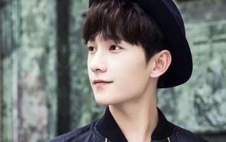 樸寶劍為什么跪吳磊