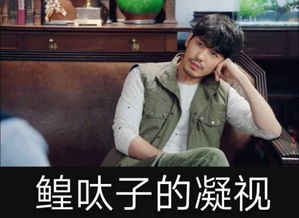 白宇突厥什么梗