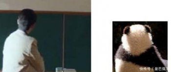 白宇突厥什么梗