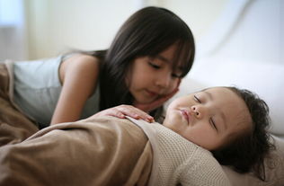 任泉真的是同志嗎