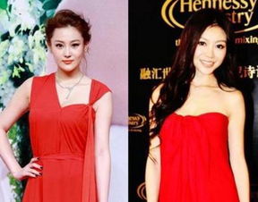 朗朗怎么能看上鞏新亮