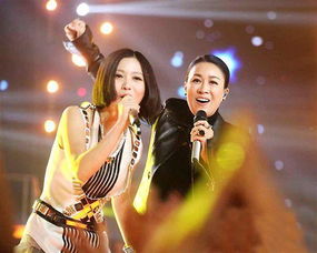 劉嘯和劉歡什么關系