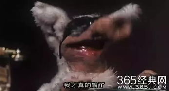 陳惠敏為什么打洪金寶