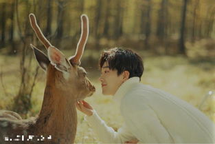 馬思超母親是誰