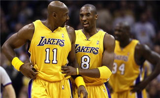 馬龍和瓦妮莎什么梗