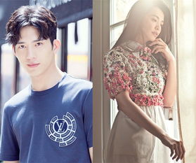 凌瀟瀟姚晨為什么離婚