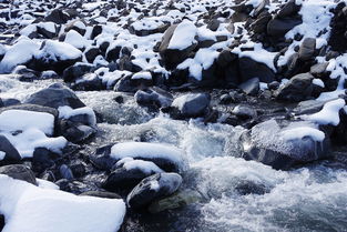 海子是哪個電視劇