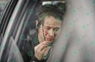 韓寒為什么要娶金麗華