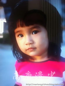 楊雪和趙海相差多少歲