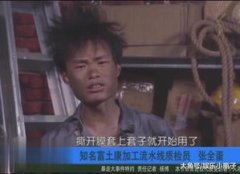 張全蛋是富士康幾號流水線